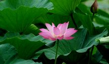 善待自己，从心开始