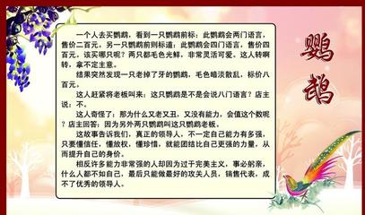 土宝的励志故事