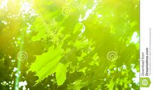 经典语录：不管有多少面墙阻挡，总还有一道属于你的明媚阳光