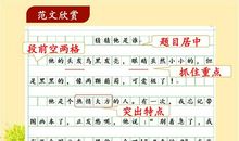 七年级上第一单元习作：成长中的希望