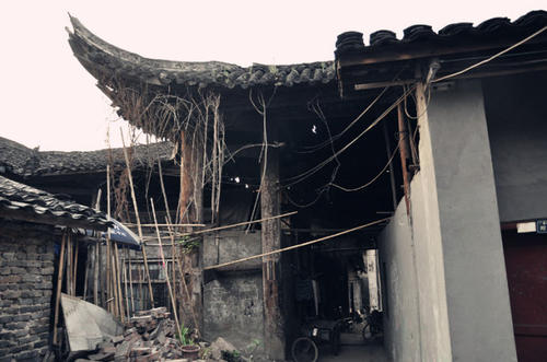 林慧音：十一月的村庄