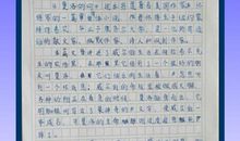 老人与海鸥读后感400字
