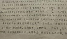 描写男子神态的句子