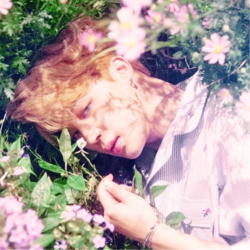 鼓舞人心的故事:七次掷硬币的奇迹