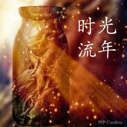 如果生命仅剩三个月