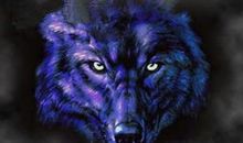 狼图腾经典段落