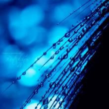 总是有一杯酒,人们喝酒前会喝醉