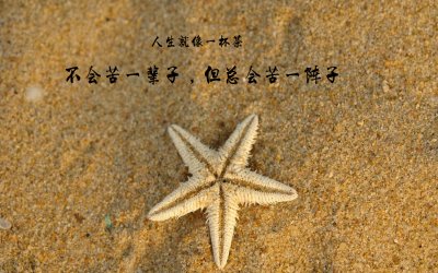 关于青年的审美陈述