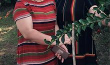 人生感悟：不必太在乎那些冷嘲热讽