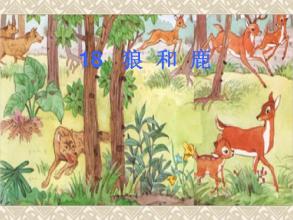 阅读鼓舞人心的故事“狼与鹿”：生活中需要“狼”