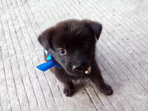 当您的心纠结时，请打开以下31个提示