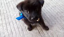 当你的心纠结时，请打开这31个锦囊