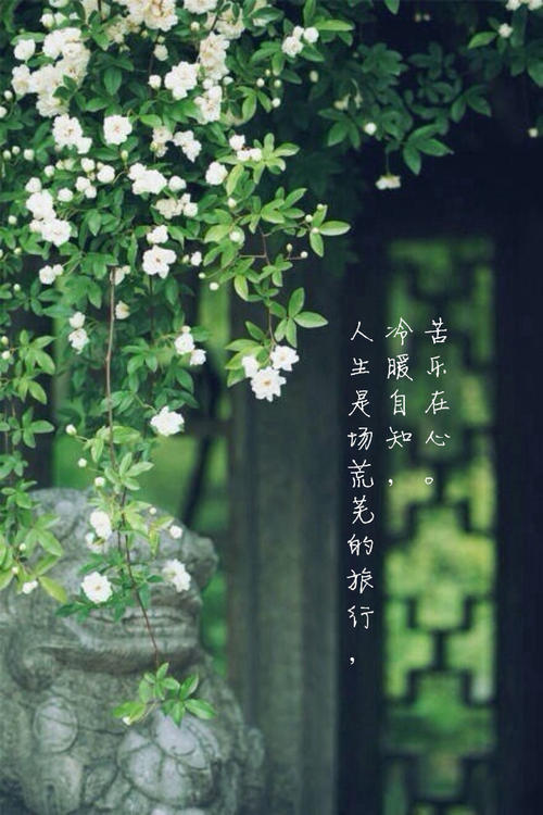 人生感悟：人生是一个荒芜的旅程，一个人知道自己的温暖和寒冷，内心享受着痛苦和幸福