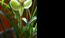 朋友互勉的简短语句