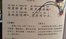 所见的诗意_所见的意思