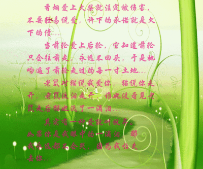 经典优雅的句子安慰灵魂