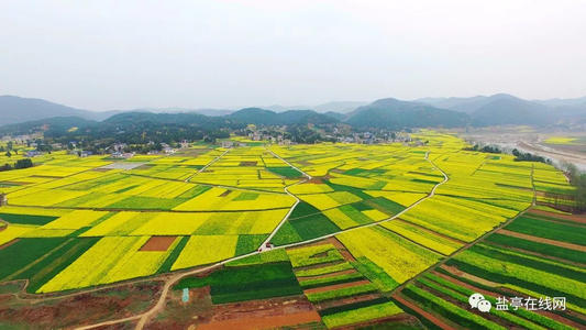 故乡，等我回来