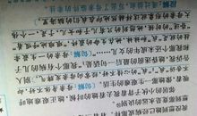 秋天的怀念读后感