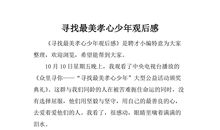 孝心少年观后感