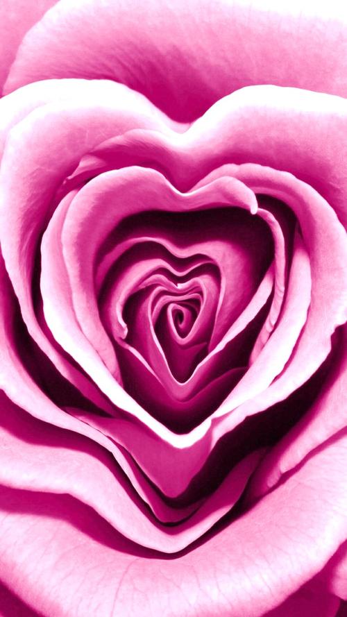 美丽的句子，意义深远