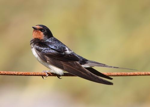 鼓舞人心的故事:毫无意义的争论