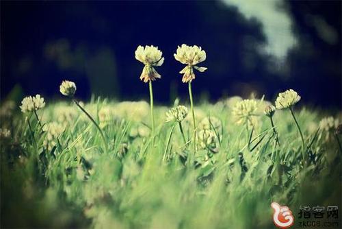 心情不好的个性签名句