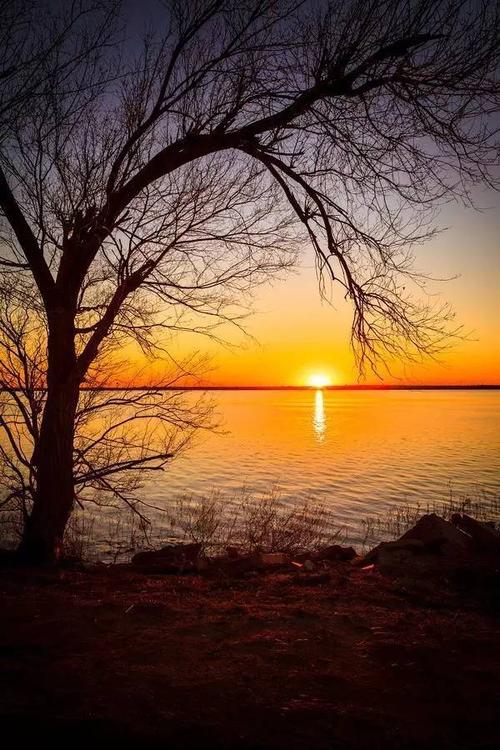 没有父母，我的家乡只能留在我的梦里