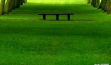 经典语录：不要辜负了美好的晨光