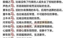 形容种类多的成语