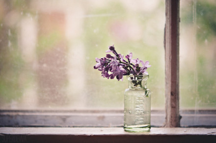 薛晓蝉：快乐稳定