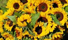 23个发人深省的教育故事