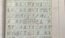 小学三年级周记大全