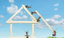 励志故事：自己建造的房子