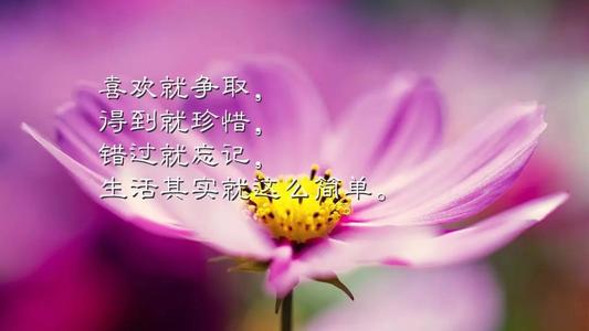 感动人心的句子