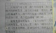 五年级周记400字