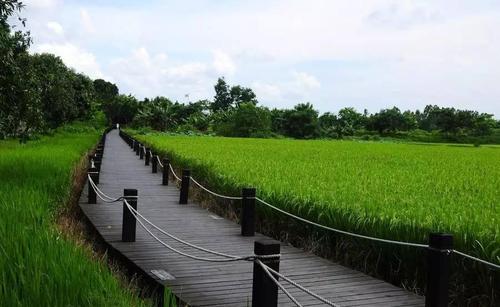 优秀的四年级学习：大路旁的小路