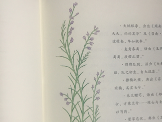 诗经中描述女性的句子