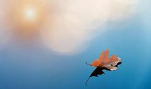 给生活不如意的人们：生活的痛苦，不过是过眼云烟