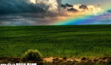 关于美丽瞬间的句子