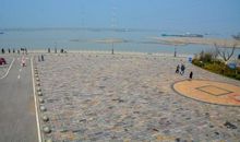 碧水东流至此回全诗