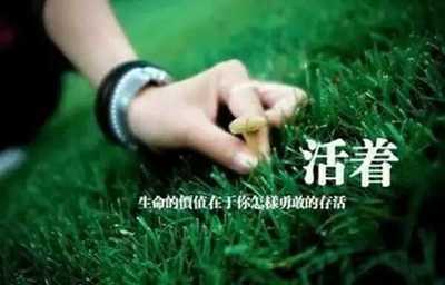 停止寻找，幸福藏在心中