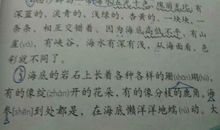 好词好句好成语