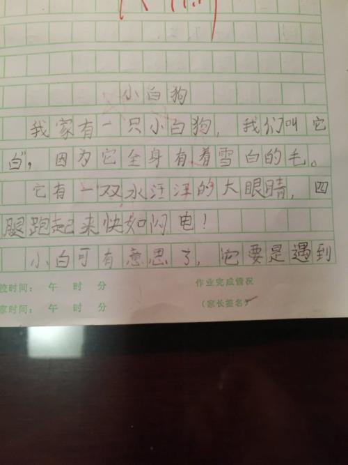 三年级每周日记