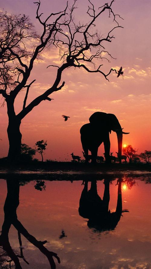 生命的天空永远不会有“禁飞区”