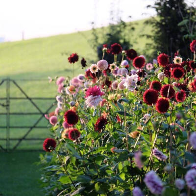 生活是选择的总和