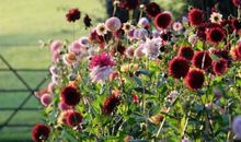 人生是选择的总和