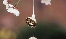 有关风铃的优美语句