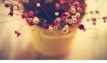 十句话让你变得更优秀