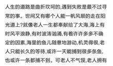 老人与海读后感1500字