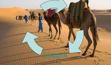 沙漠情怀——读《撒哈拉的故事》有感